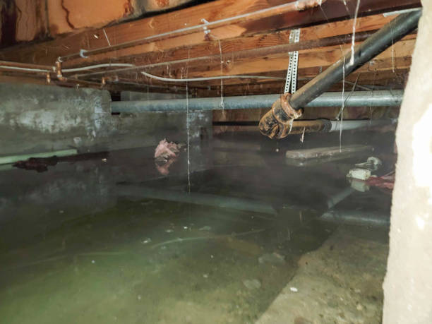 Water damage restoration insurance claims in OK