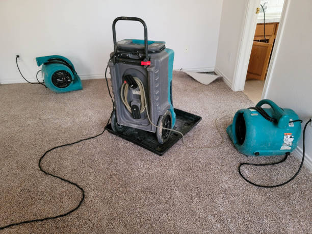  Collinsville, OK Water damage restoration Pros
