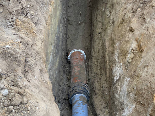 Best Professional water damage repair  in Collinsville, OK