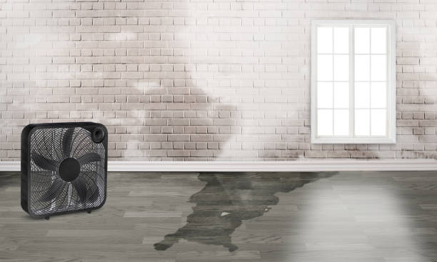 Professional Water damage restoration in OK