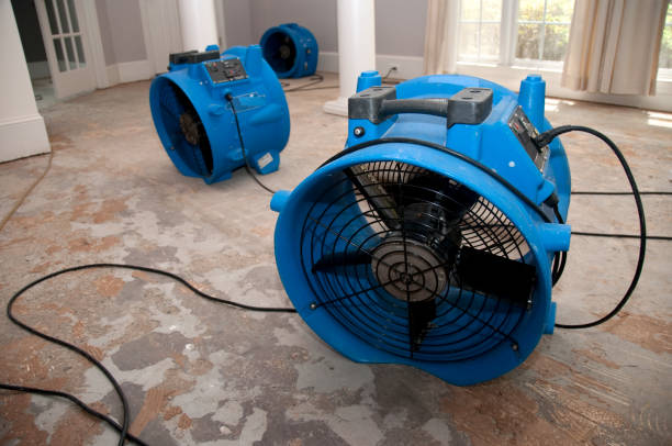 Best 24/7 water damage repair  in Collinsville, OK