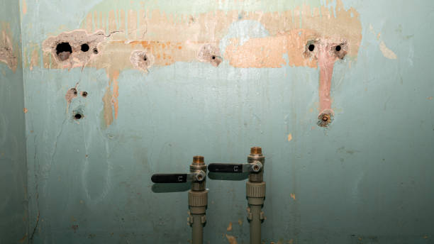 Best Ceiling water damage repair  in Collinsville, OK