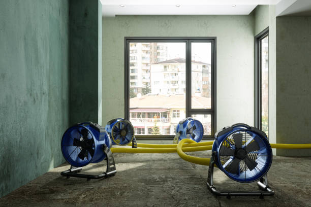 Best Water damage restoration company  in Collinsville, OK